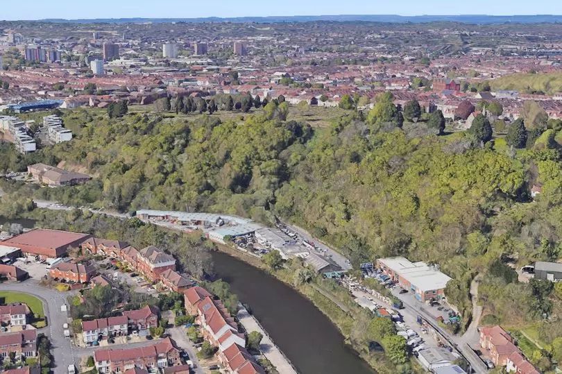 Bristol: Help Save Blackswarth Road Wood