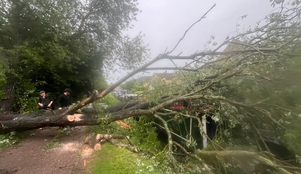 The Tree that Fell on a Cyclist, and My Boat