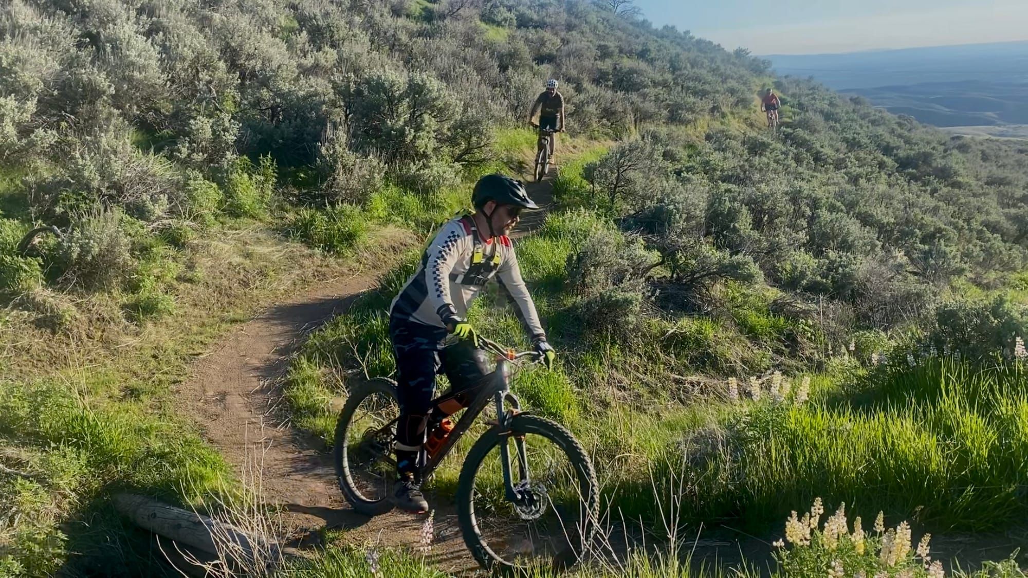 Weekly Send: Hawkins Loop