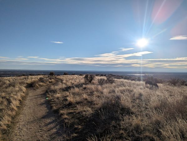 2025 Goals: Gearing Up for Adventure