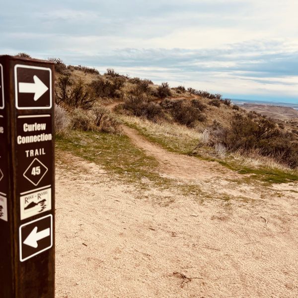 Boise’s New Curlew Connection Trail—What You Need to Know