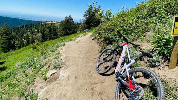 Riding Through Seasons: A Reflection on Balance and Obsession