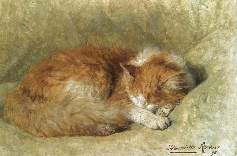 A Sleeping Cat — Henriette Ronner-Knip, 1896