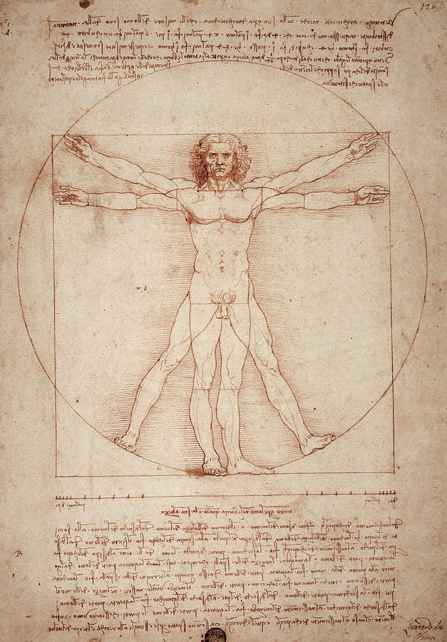 Vitruvian Man by Leonardo da Vinci