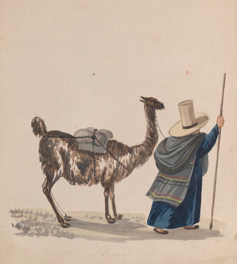 A Woman Walking with a Llama by Francisco Fierro