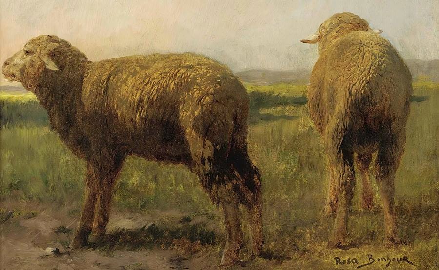 Sheep in a Meadow by Rosa Bonheur