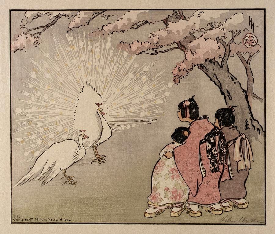 The White Peacock by Helen Hyde