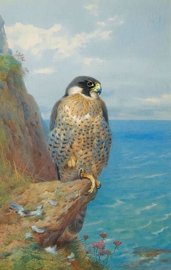 Archibald Thorburn’s Ten Most Beautiful Bird Paintings
