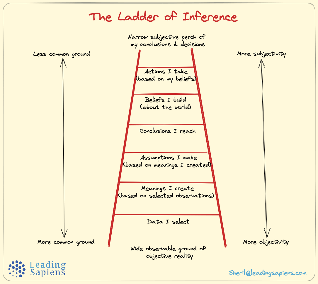 The Ladder of Inference