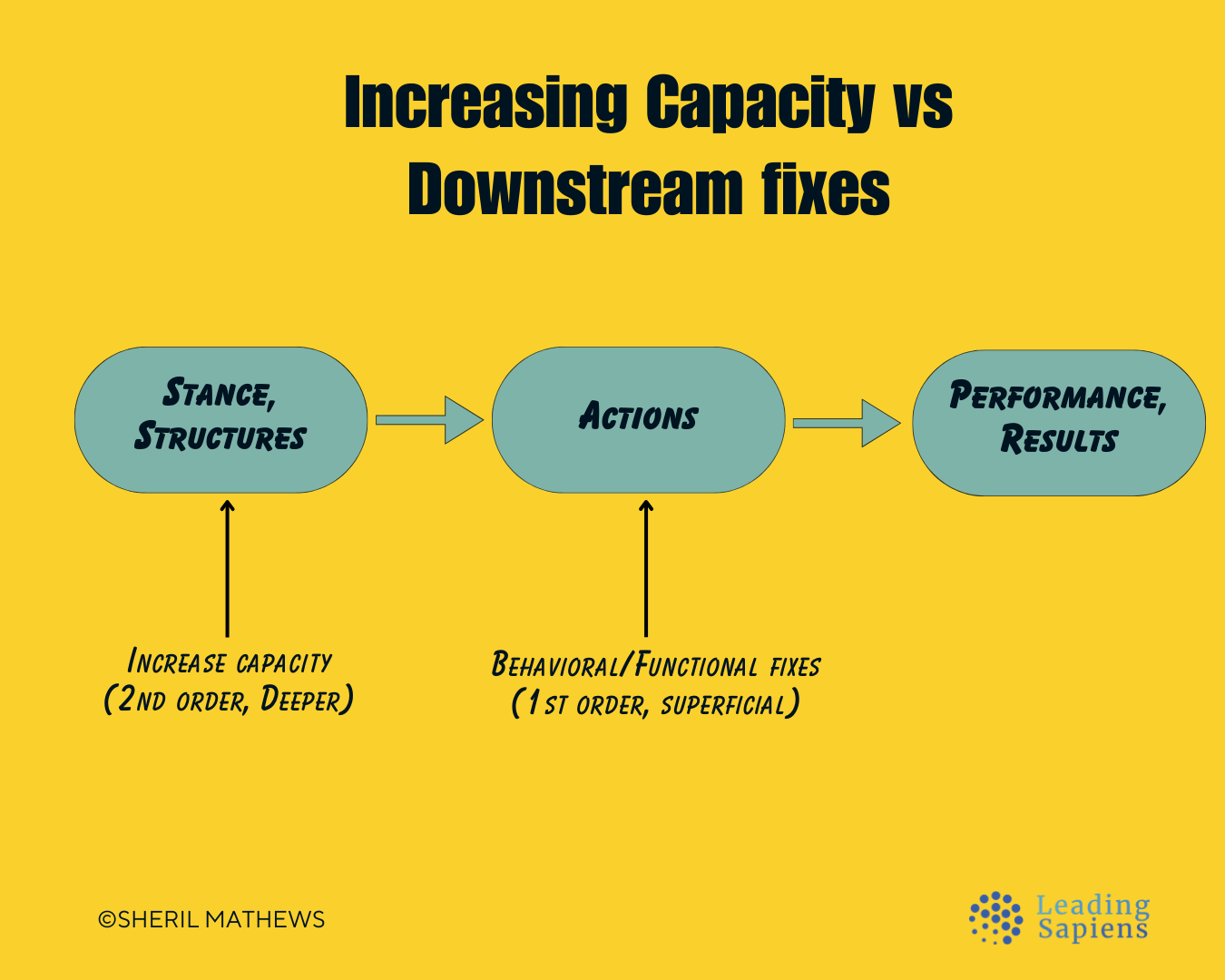 How leadership coaching works at another level upstream