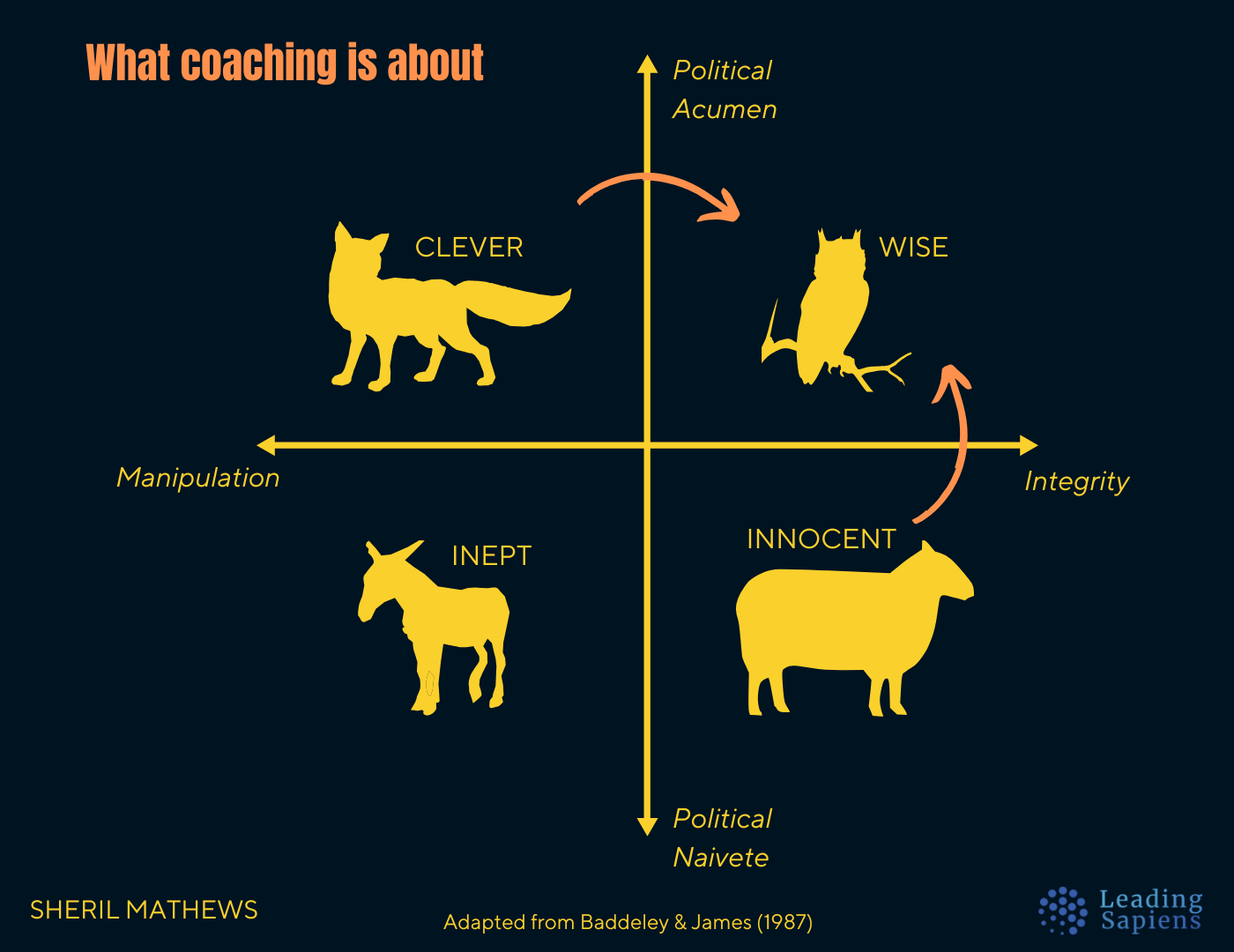 Leadership Coaching builds your organizational savvy