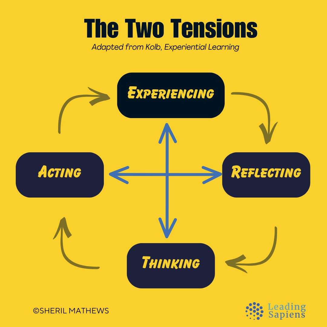 Two Tensions - Experiential Learning Cycle - David Kolb