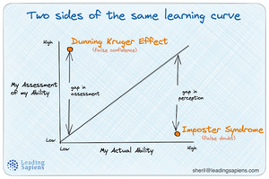 Can we Eliminate Self-Doubt? Should we Even Bother?