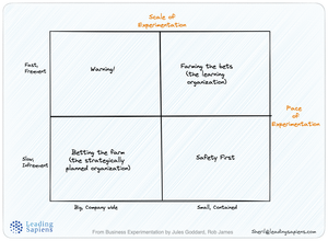Singular Big Bet vs Multiple Small Bets-Two Contrasting Approaches to Strategy