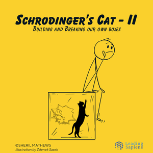 Schrodinger’s Cat at Work II: Building the Box of Limitations