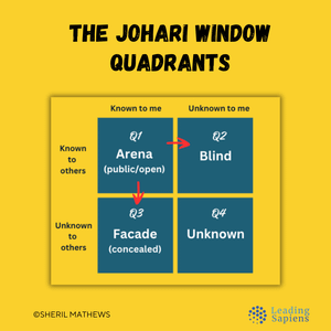 The Johari Window quadrants