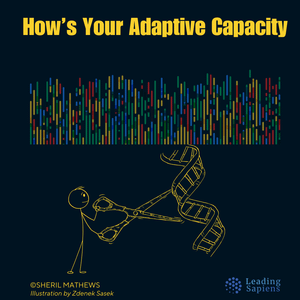How's Your Adaptive Capacity?