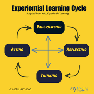 Experiential Learning Cycle - David Kolb