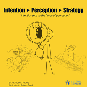 Intention - Perception - Strategy