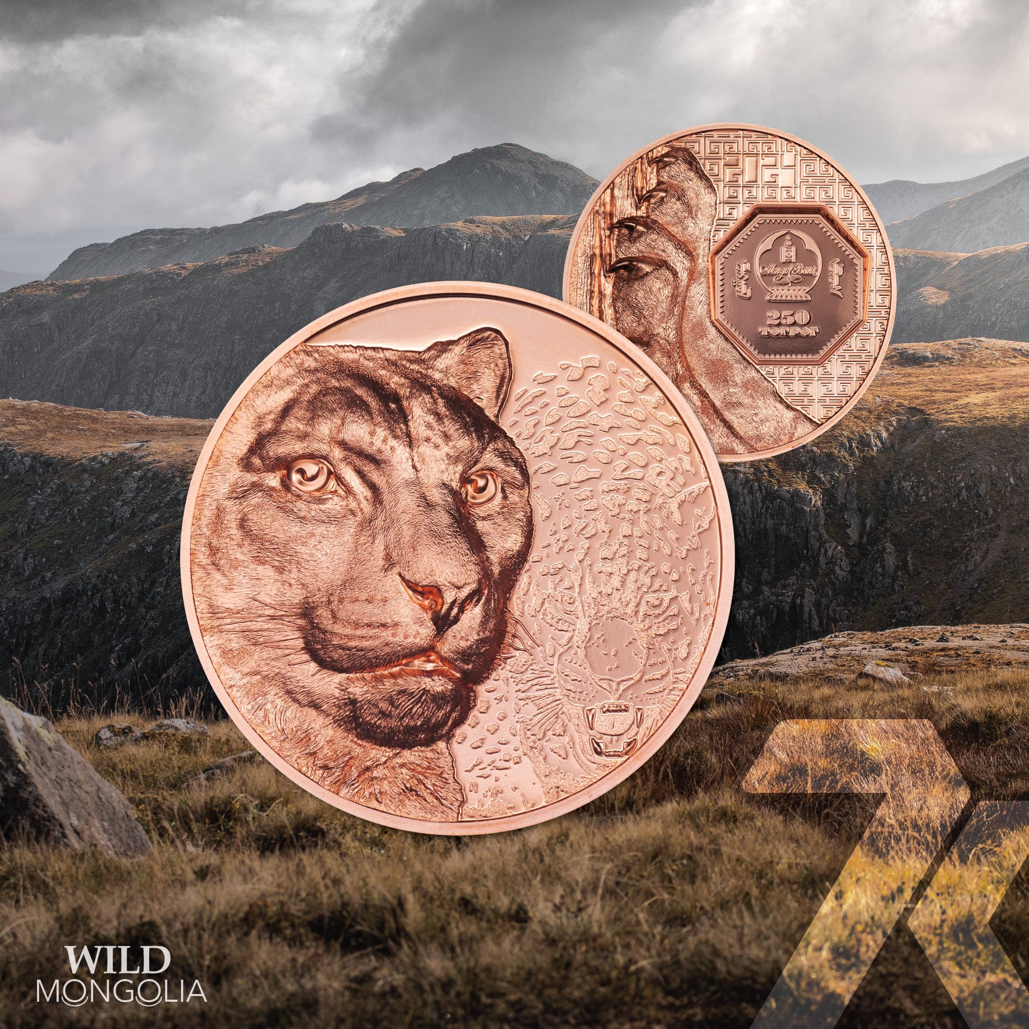 2024 Wild Mongolia – Snow Leopard 50-gram copper PF70
