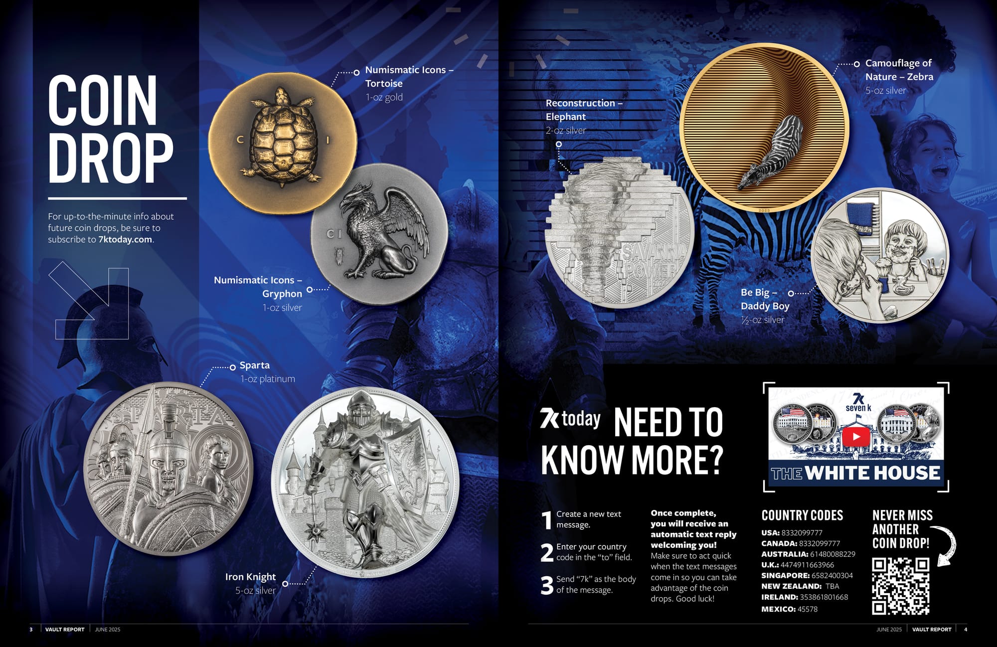 June 2025 Vault Report