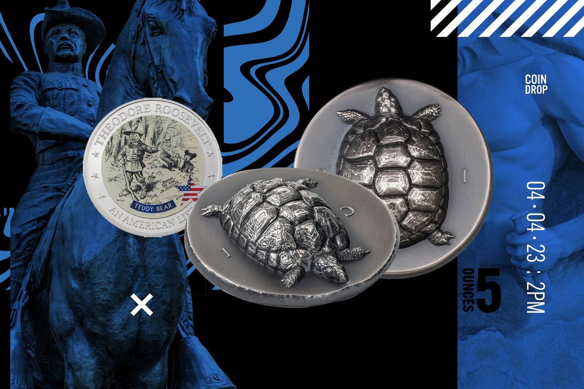 Teddy Bear & Tortoise Coin Drop Teddy Bear & Tortoise Coin Drop