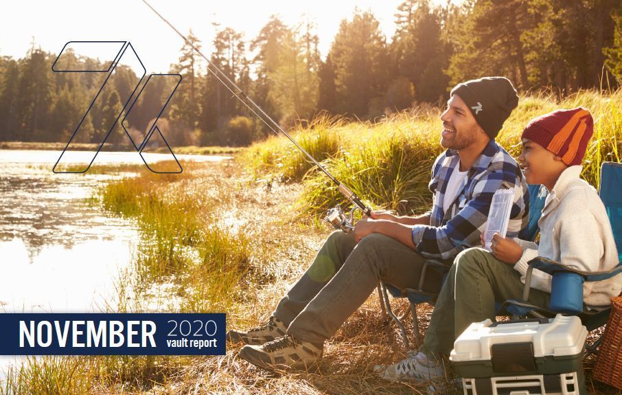 November 2020 Vault Report