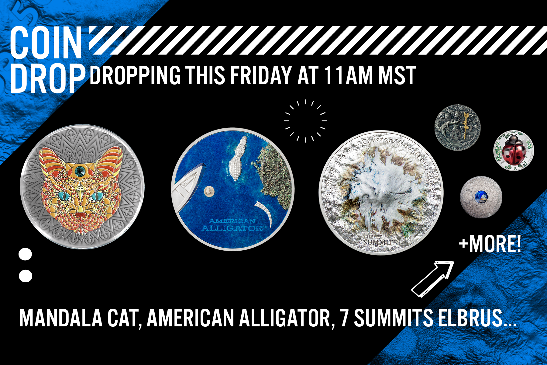 Something for Everyone Coin Drop!