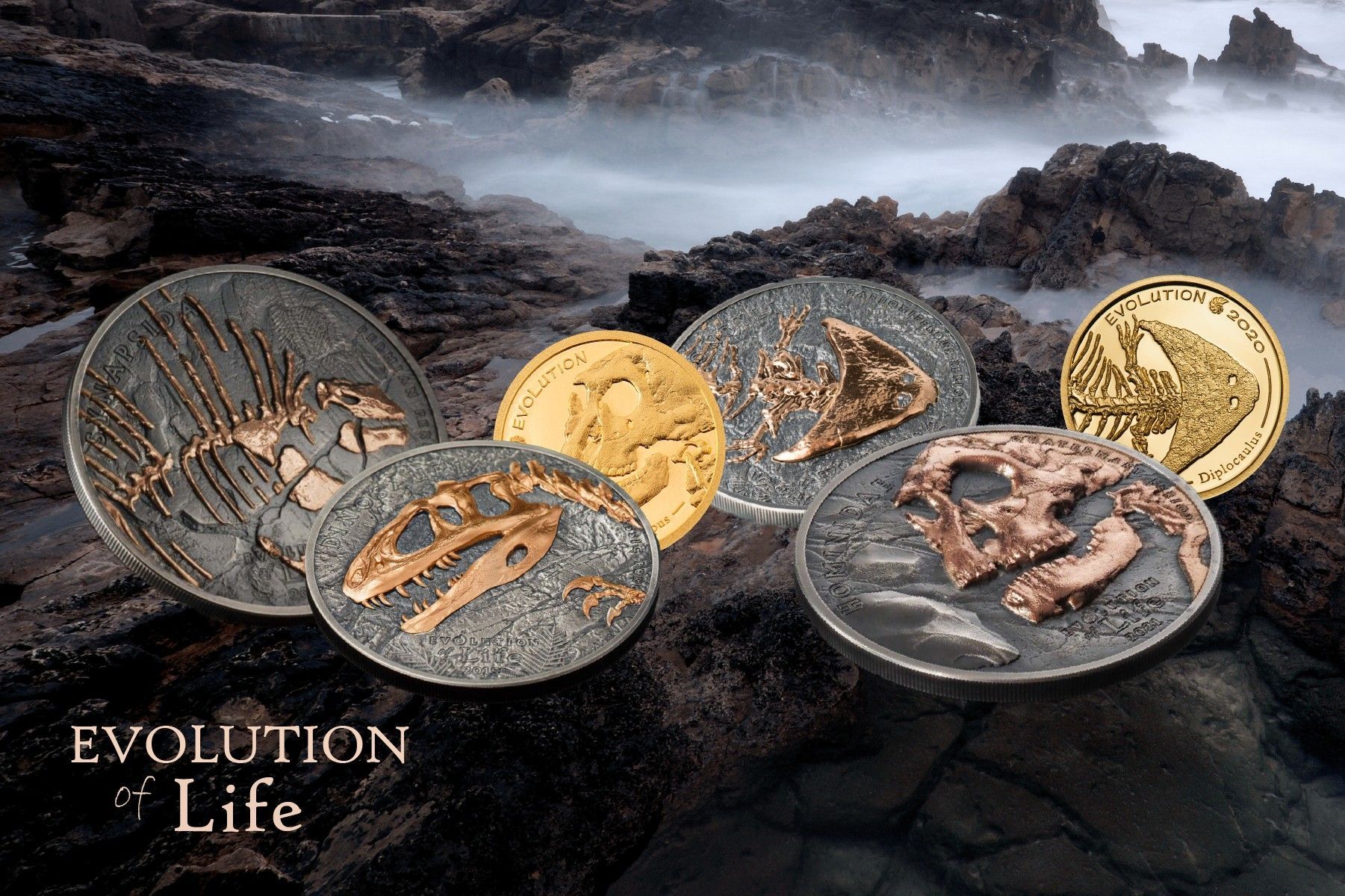 Evolution of Life Coin Series