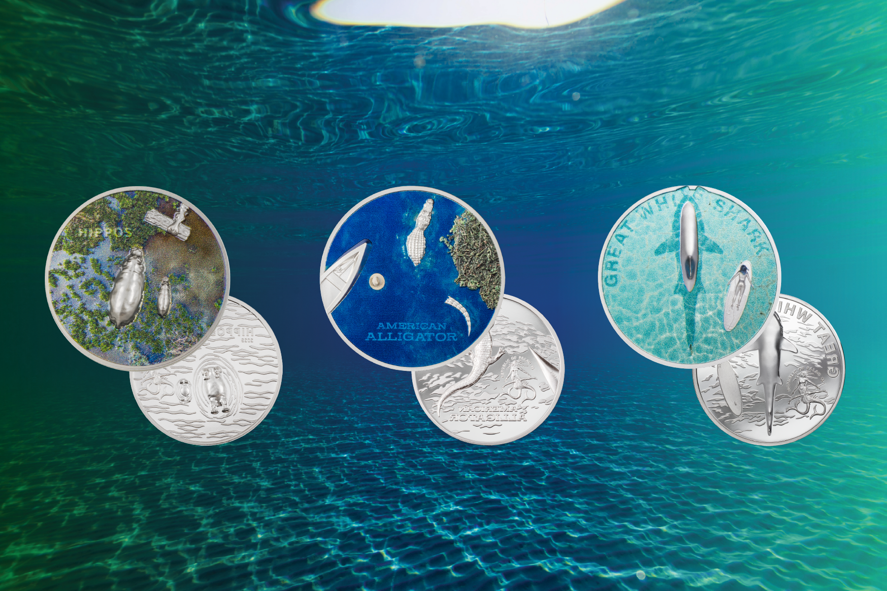 Split Views Coin Collection