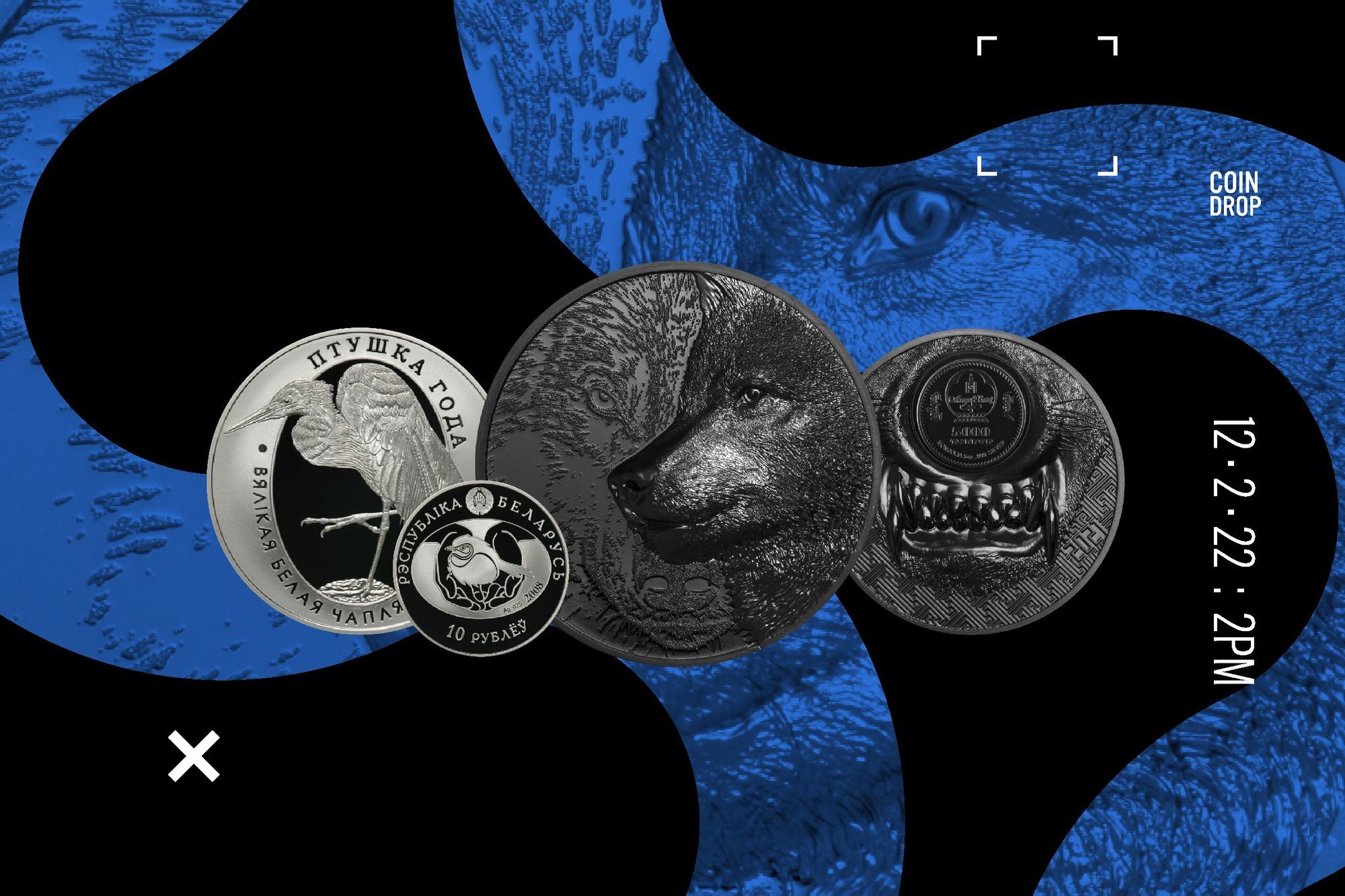 Two Wild Coin Drop!