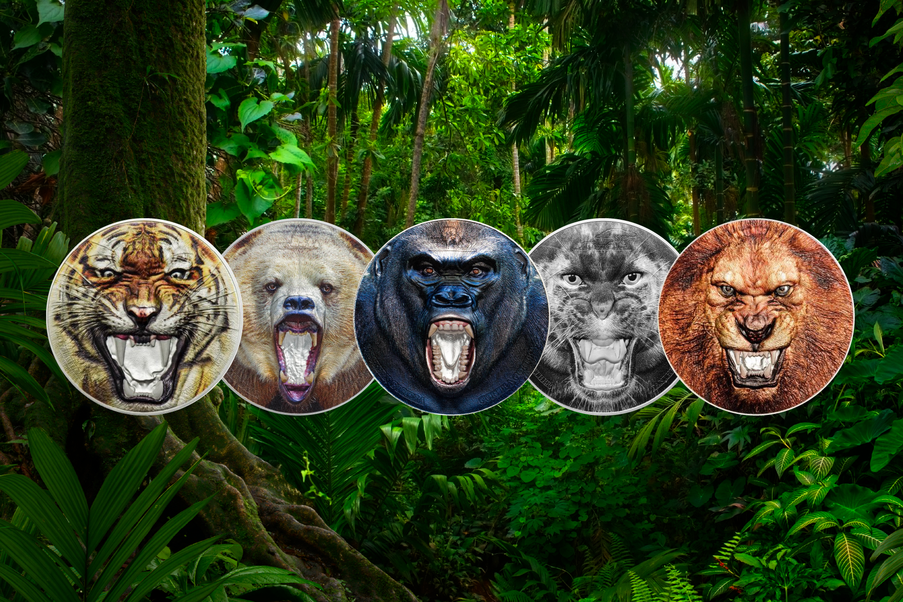 Rare Wildlife Tanzanian Coin Collection