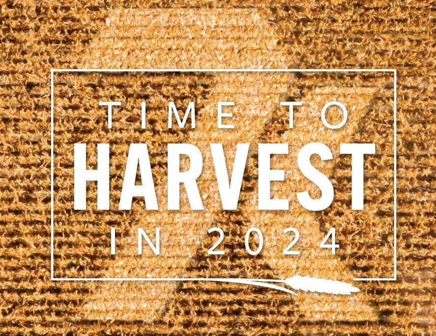 Time To Harvest