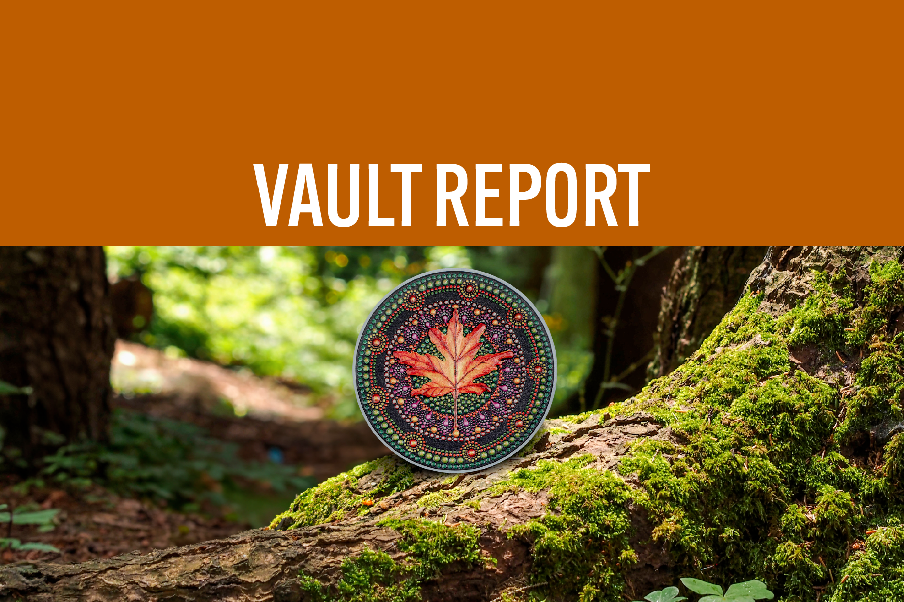 September 2024 Vault Report