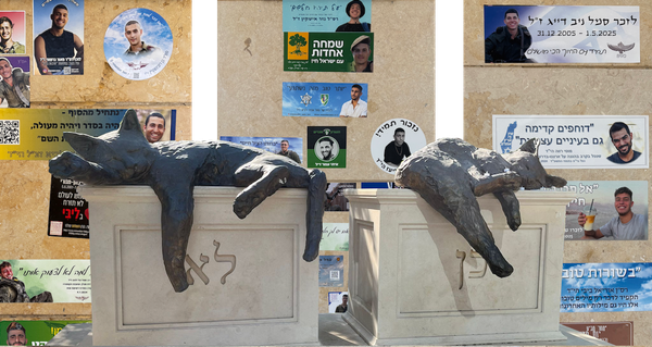 Two sides of Israel's existential war