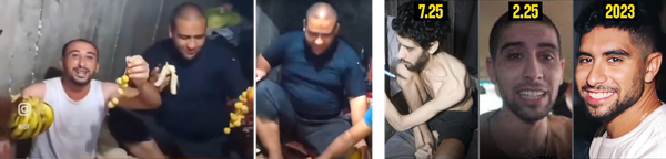 "If we don't feed them, they will harm the hostages." So not only do we feed them, we fatten them...