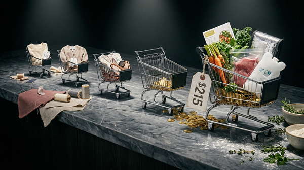 Why Meal Kit CAC Towers Over Fashion’s: New 2026 Data