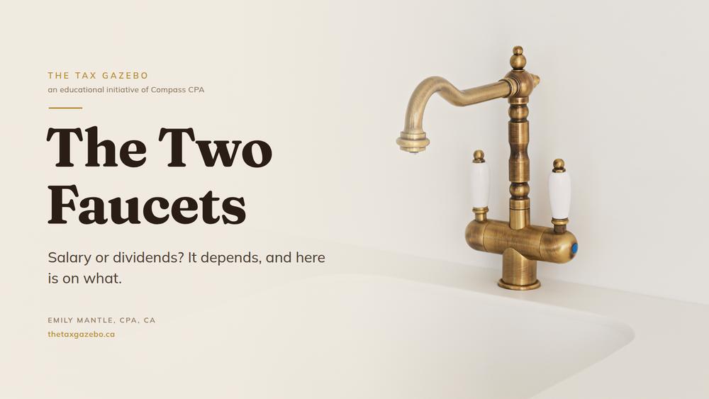 The Two Faucets: Salary and Dividends