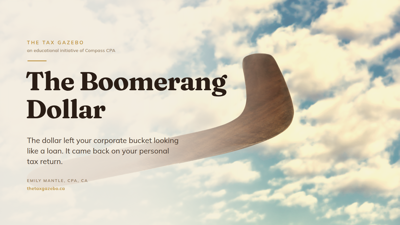 The Boomerang Dollar: The Reality of Shareholder Loans