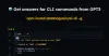 AI CLI