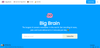 Big Brain