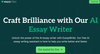 EssayWriter