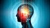 India Leads in Global Adoption and Talent Pool of AI Skills
