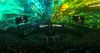 AI News Roundup: Key Updates from Boomi, HPE, NVIDIA, and More