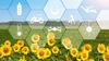 Workshop on AI for Climate-Resilient Agriculture Held in Vemulawada