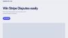 WinDispute.pro