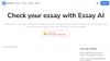 Essay Checker