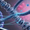 AI Inspired by AlphaFold Can Predict Chromatin Structures Found in Chromosomes