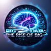 Beyond Big Data: The Rise of Big AI