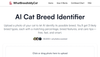 WhatBreedIsMyCat